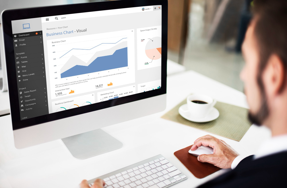 A person looking a software dashboard analyzing business report for his laundry business